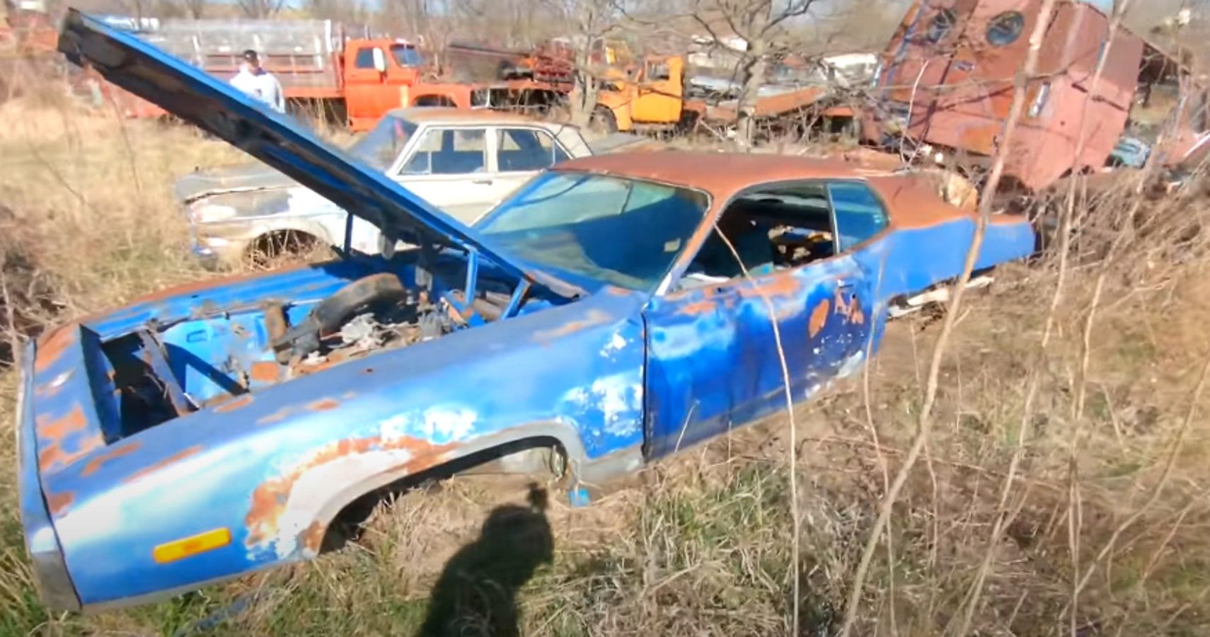 This Classic Car Graveyard Is Full Of Automotive Skeletons