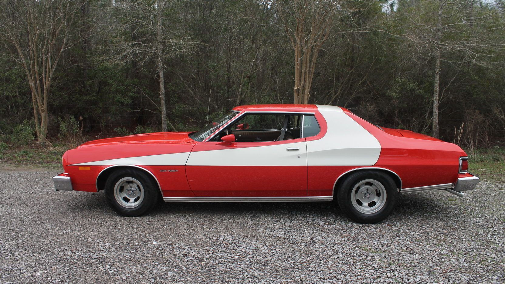 1974-ford-torino-side-view