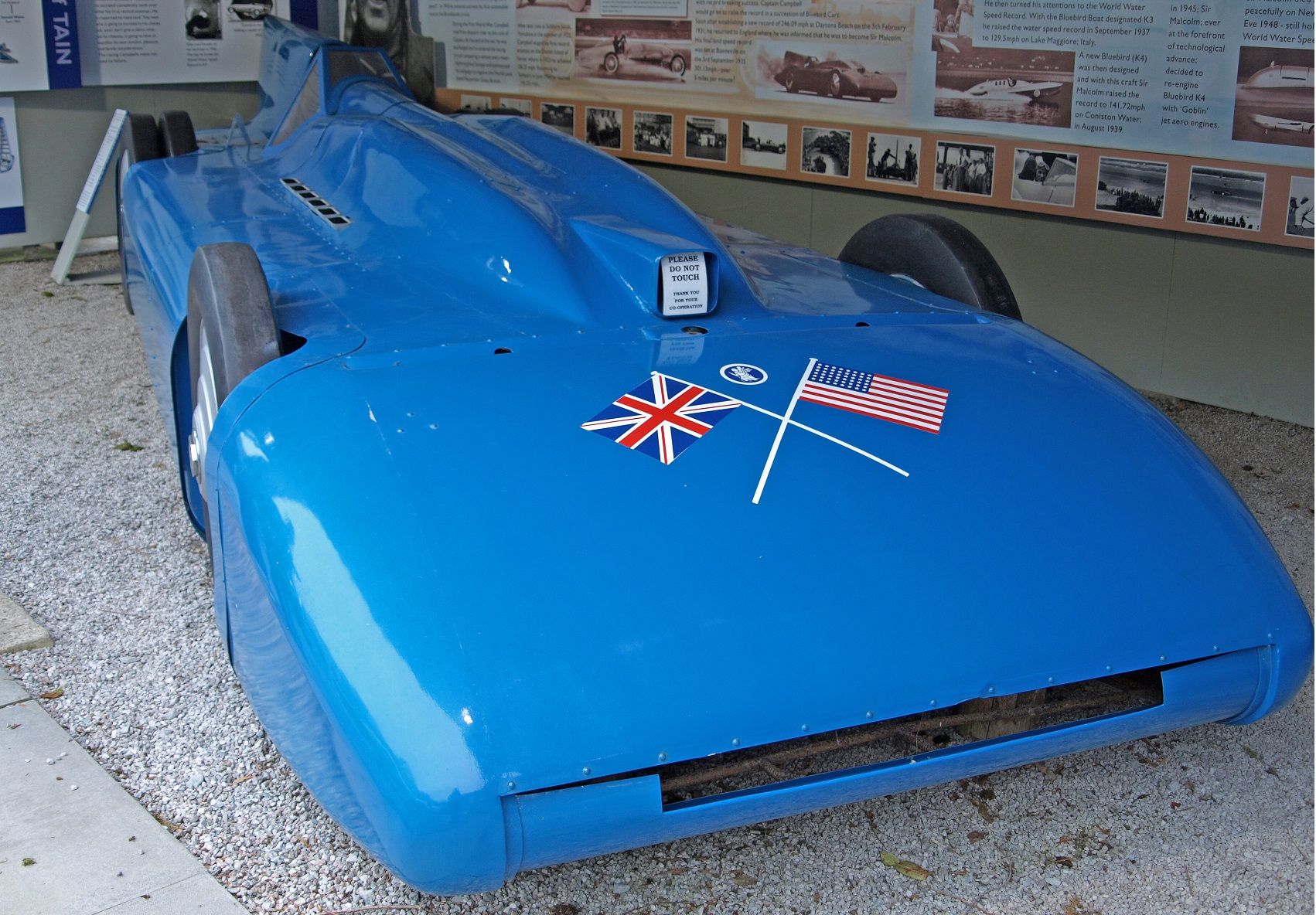 Bluebird - Front