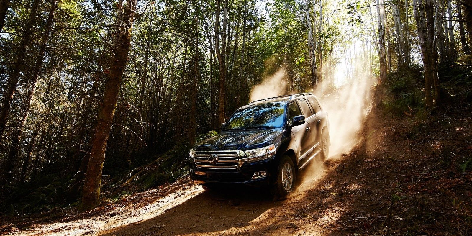 Toyota Land Cruiser on a forest trail