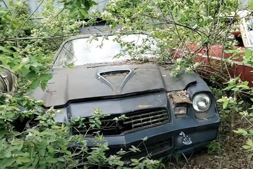 A Chevrolet Camaro Z28 among the trees