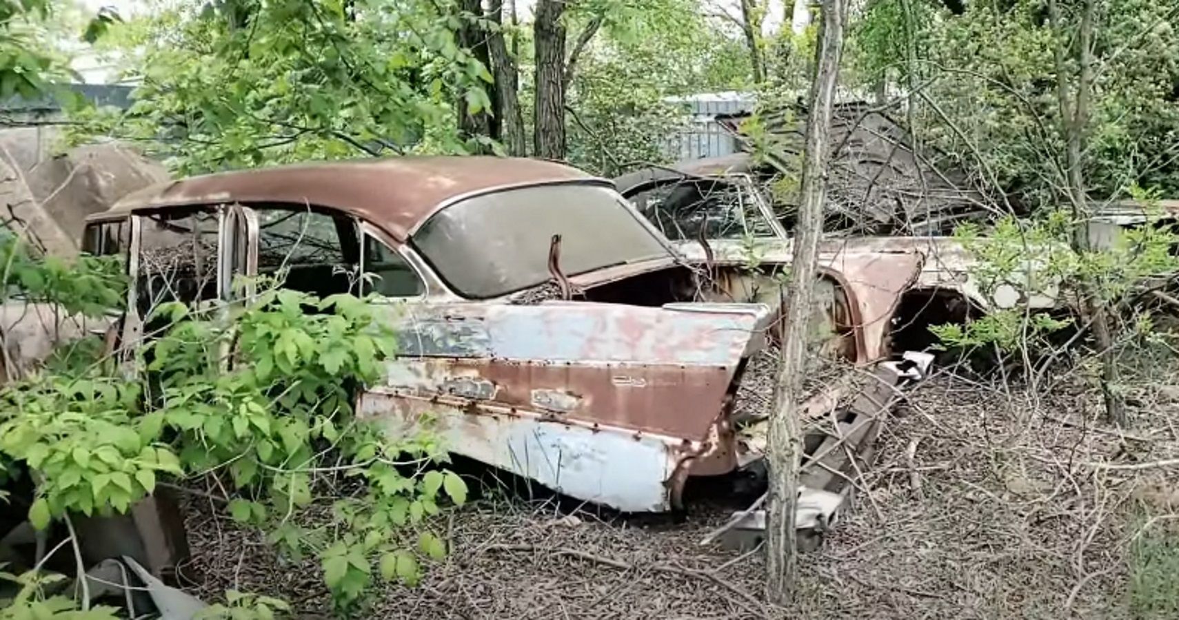 One of several rusting Tri Five Chevys