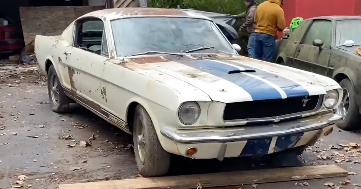 Rare Gem: 1965 Shelby Mustang GT350 Found Abandoned In A Derelict Property