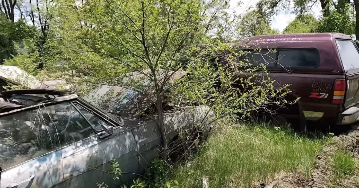Auto Archaeology YouTube Channel 1967 Chevy Impala SS convertible junkyard side view with tree 
