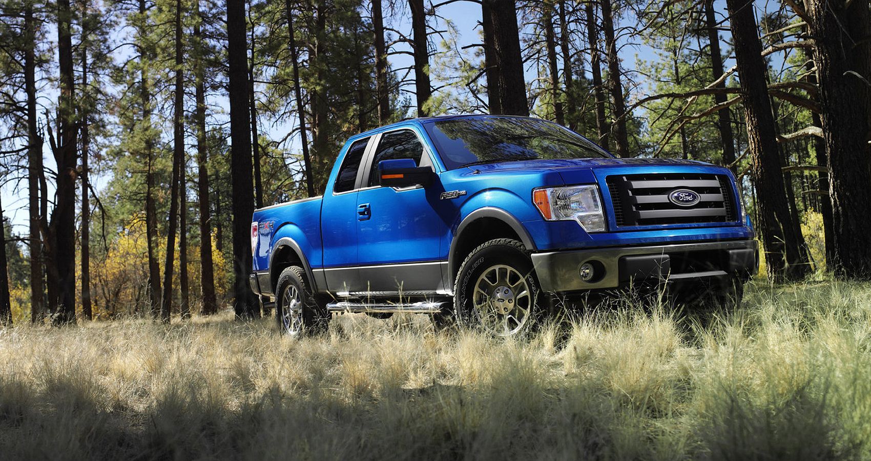 2009 Ford F-150 FX4 in Blue Front View