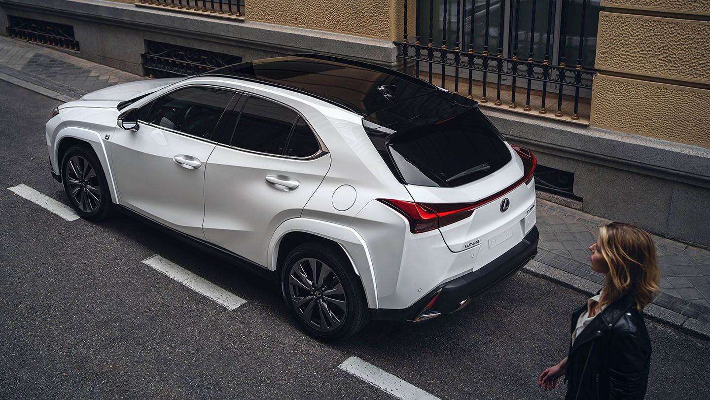 2022 Lexus UX Hybrid (White) - Rear