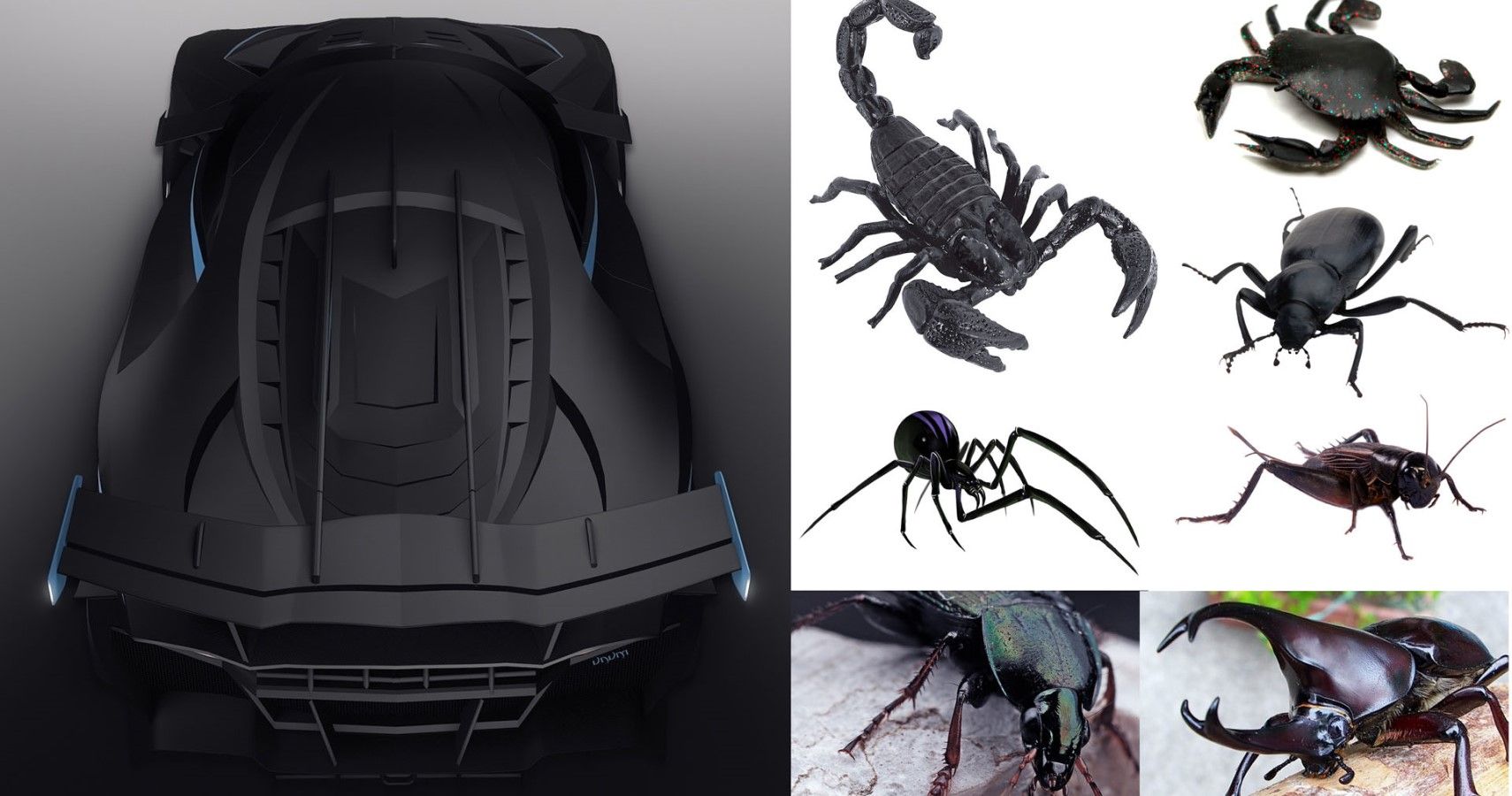 Alieno Unum rear ariel view with design inspirations