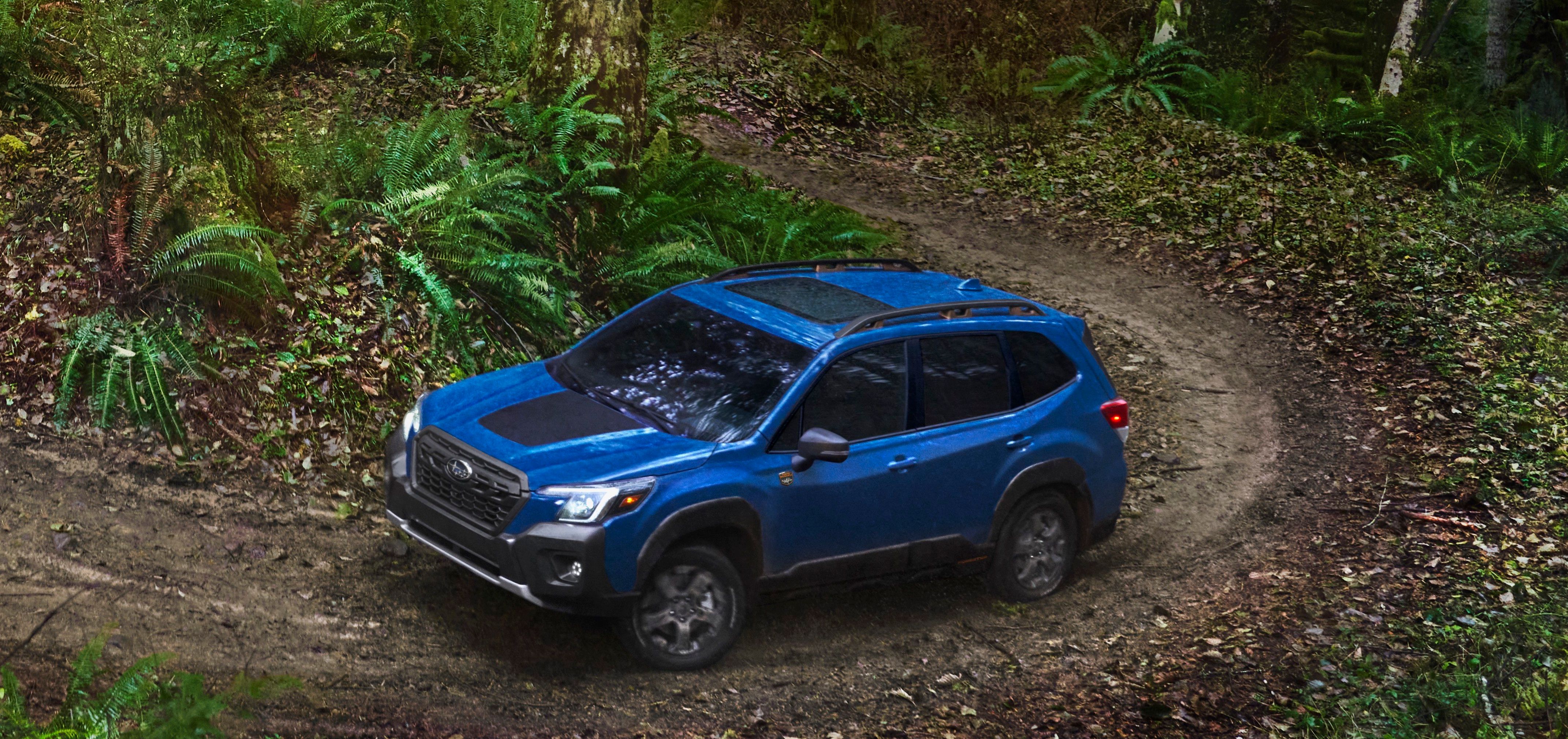 Blue Subaru Forester Wilderness