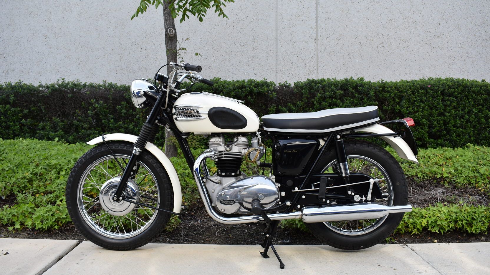 triumph bonneville tall rider