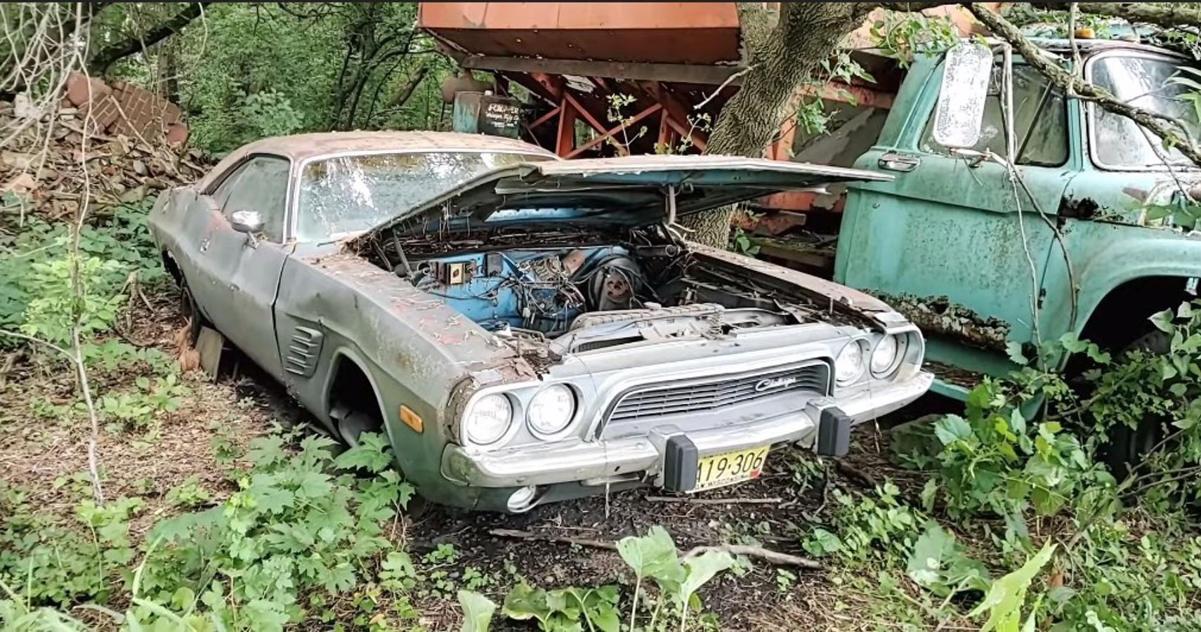 Muscle Car Dreamland in rural Georgia