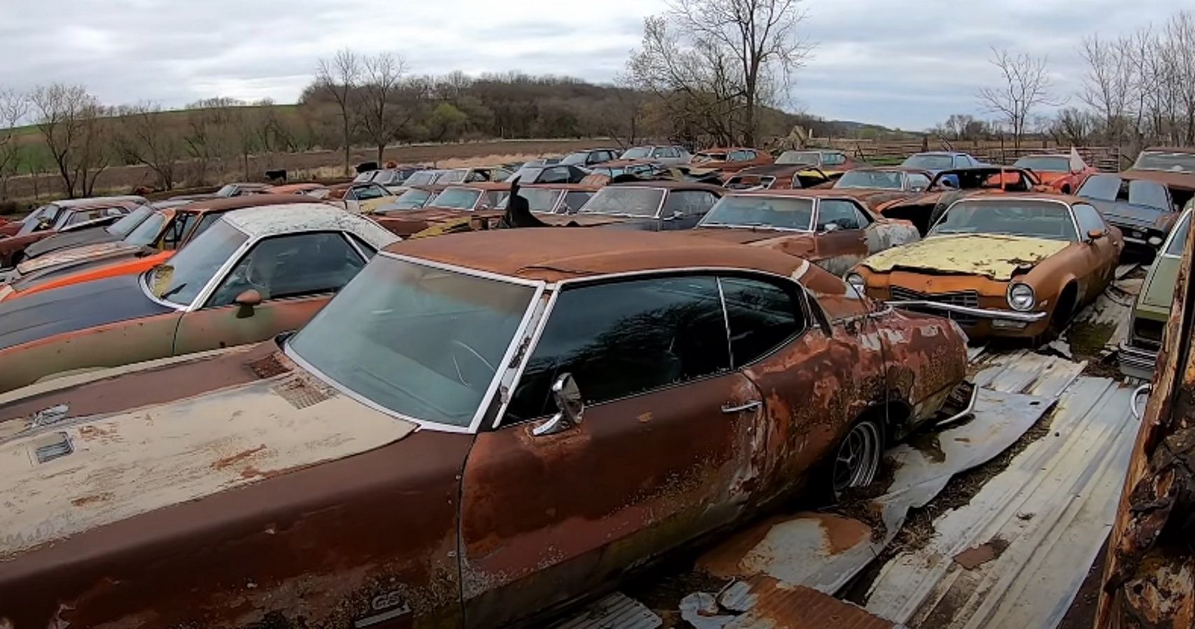 GM muscle cars in a junkyard