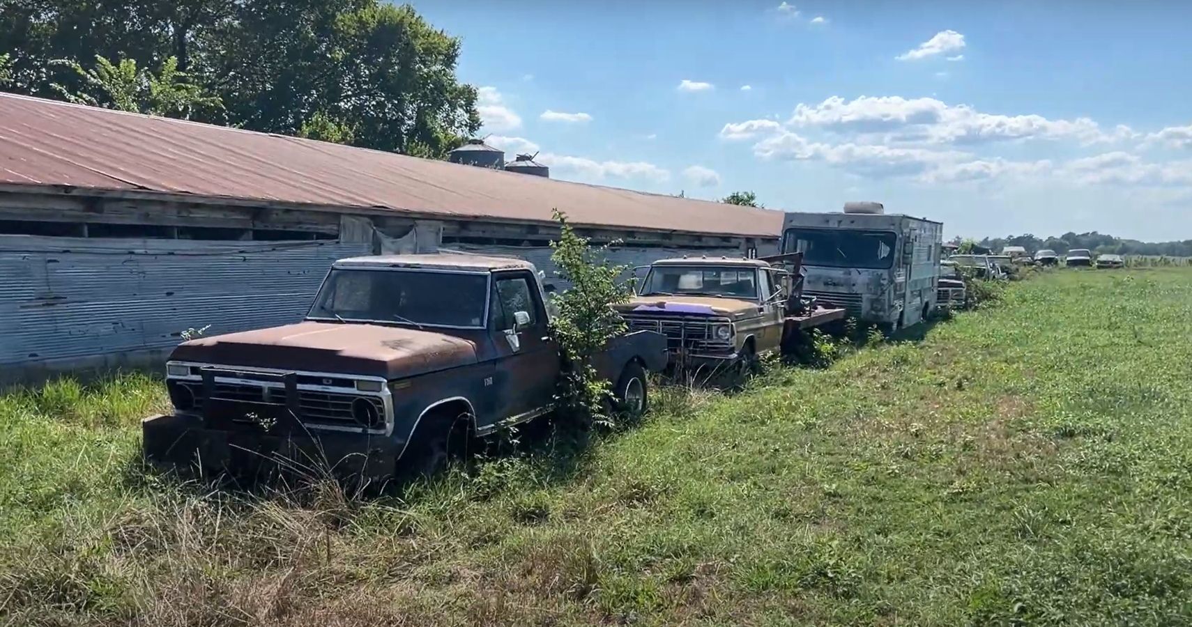 Barn Find Heaven Unveiled In 20-Acre Forest Full Of Abandoned Classic Cars