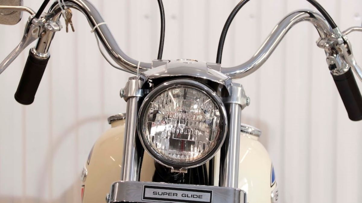 Harley-Davidson Electra Glide: Factory-built Easy Rider - Shannons