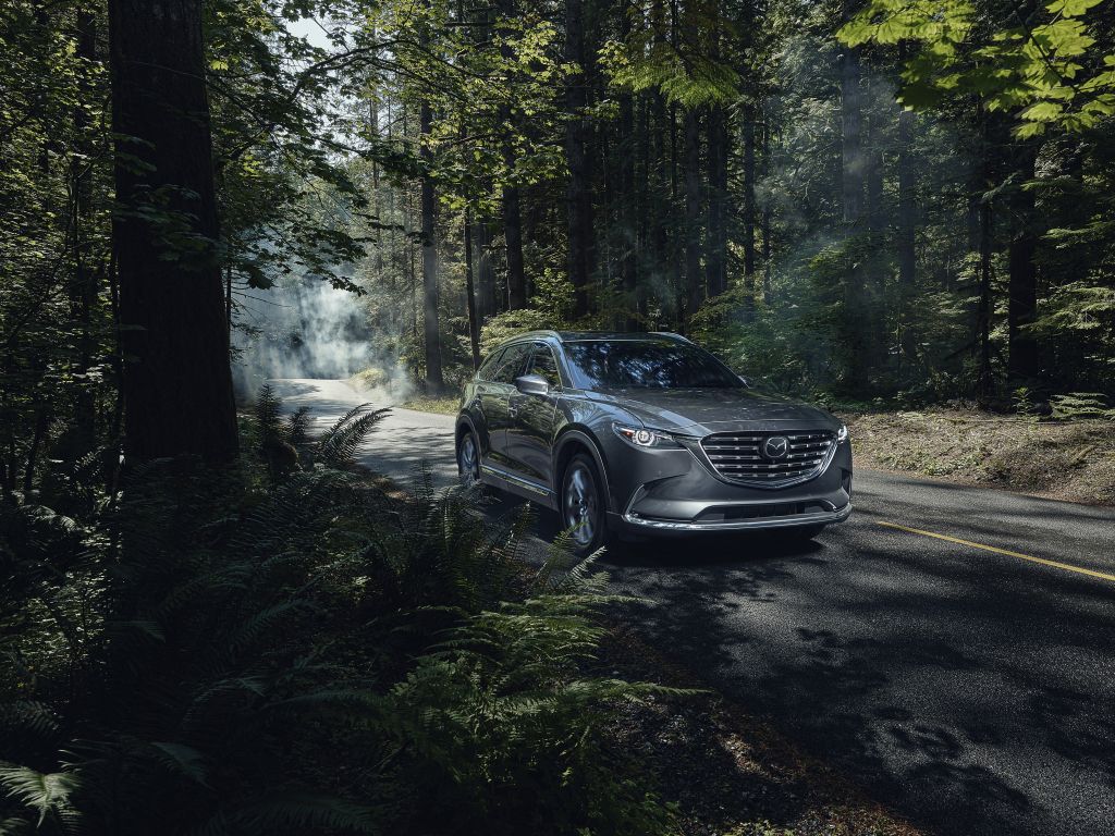 The 2023 Mazda CX-9 in the forest. 