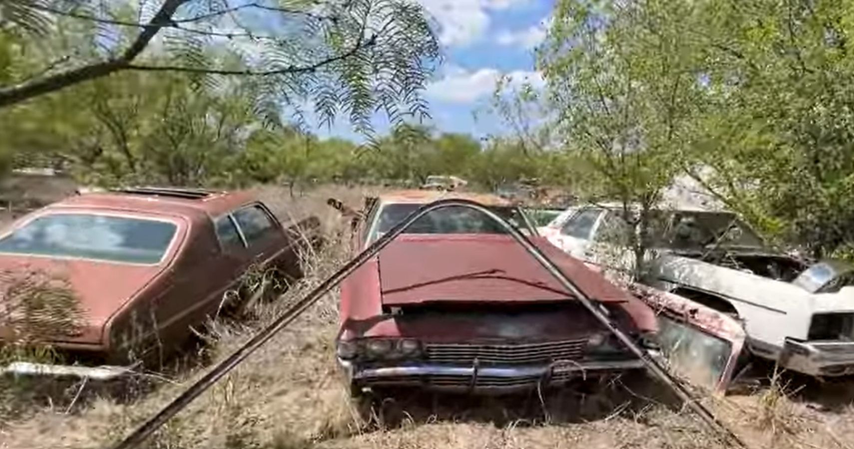 See This Lucky Family’s Giant Collection Of Classic Cars In Texas