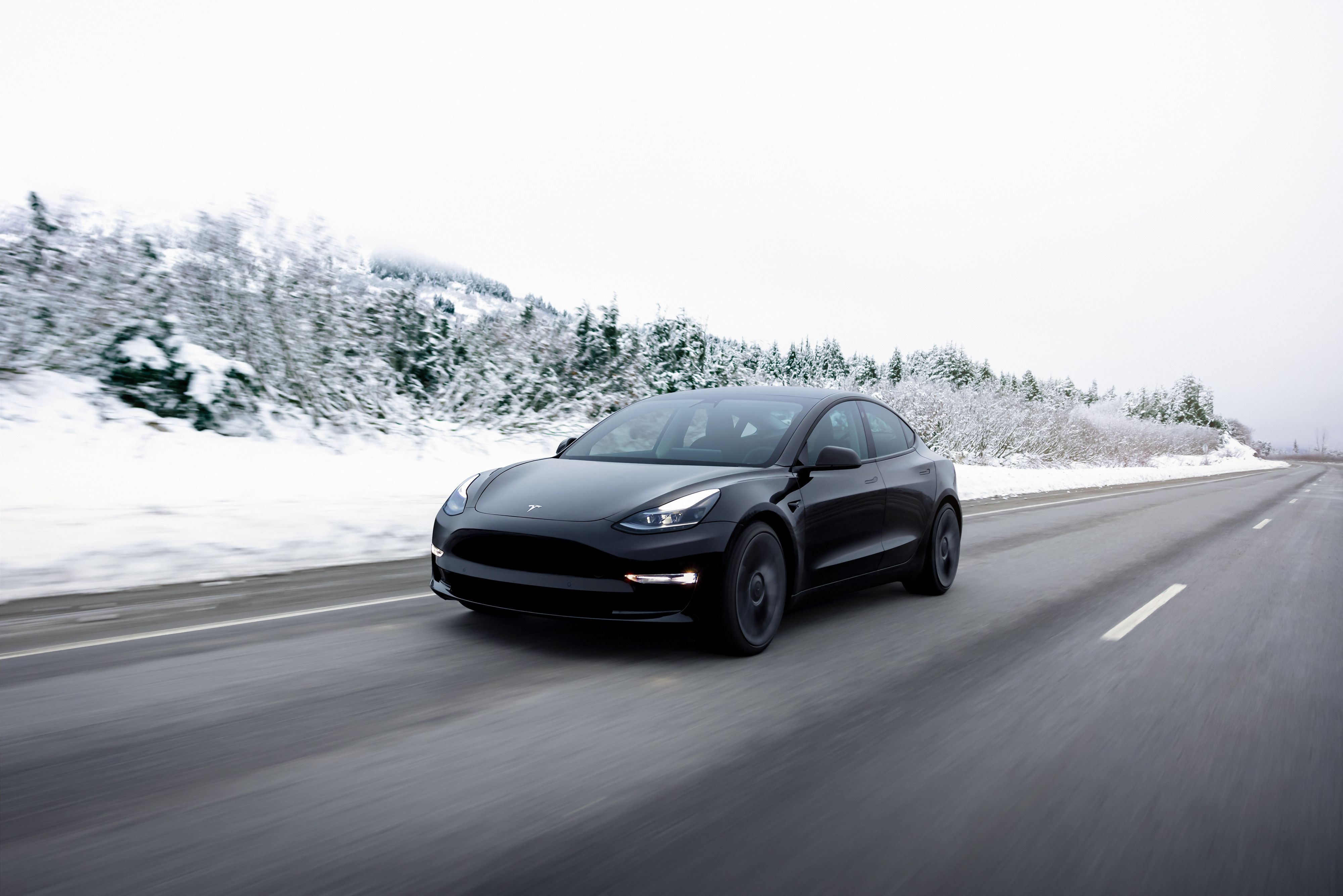 Black 2023 Tesla Model 3 Performance on the road