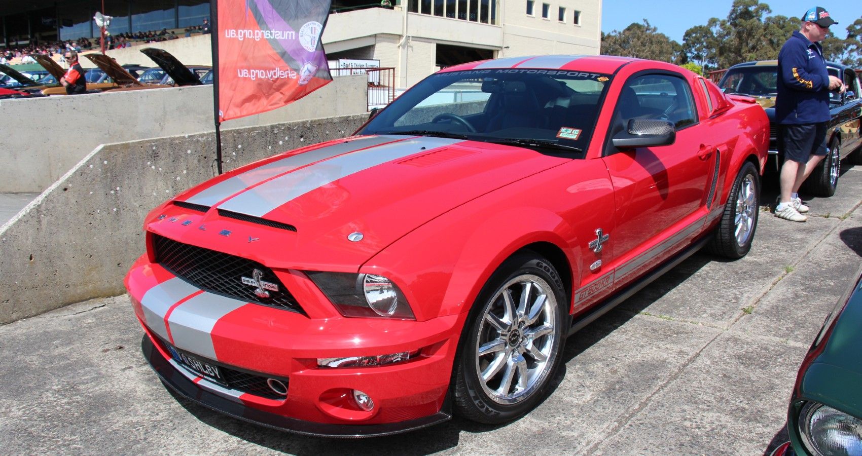 2008_Shelby_Mustang_GT500KR_(15169956923)