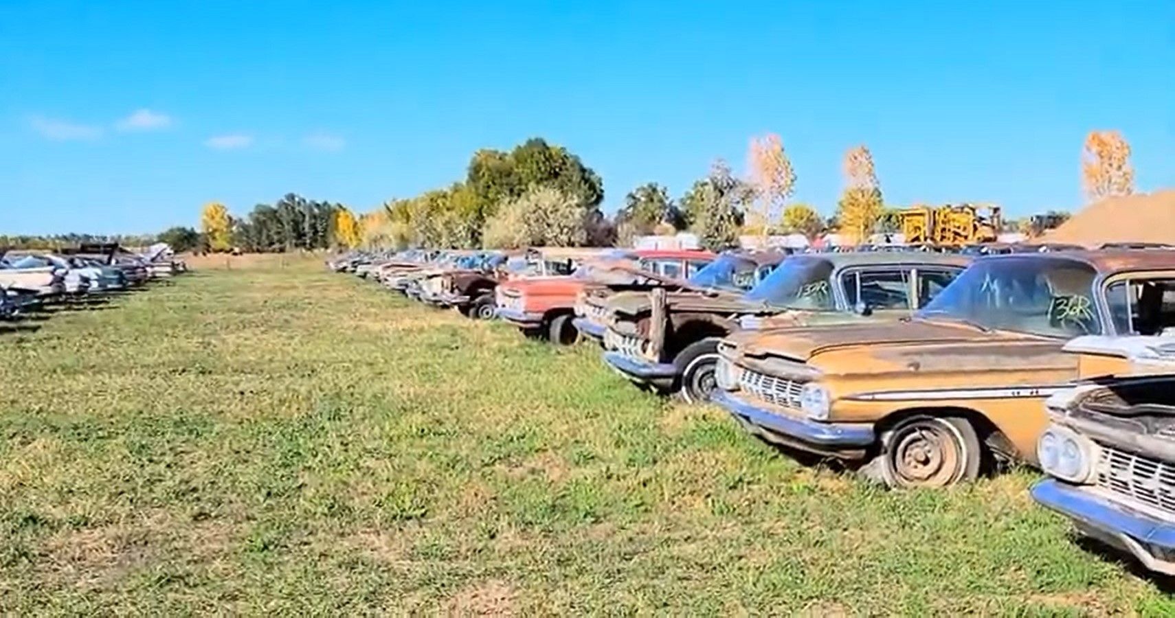 Check Out This Massive Abandoned Collection Of Classic Cars