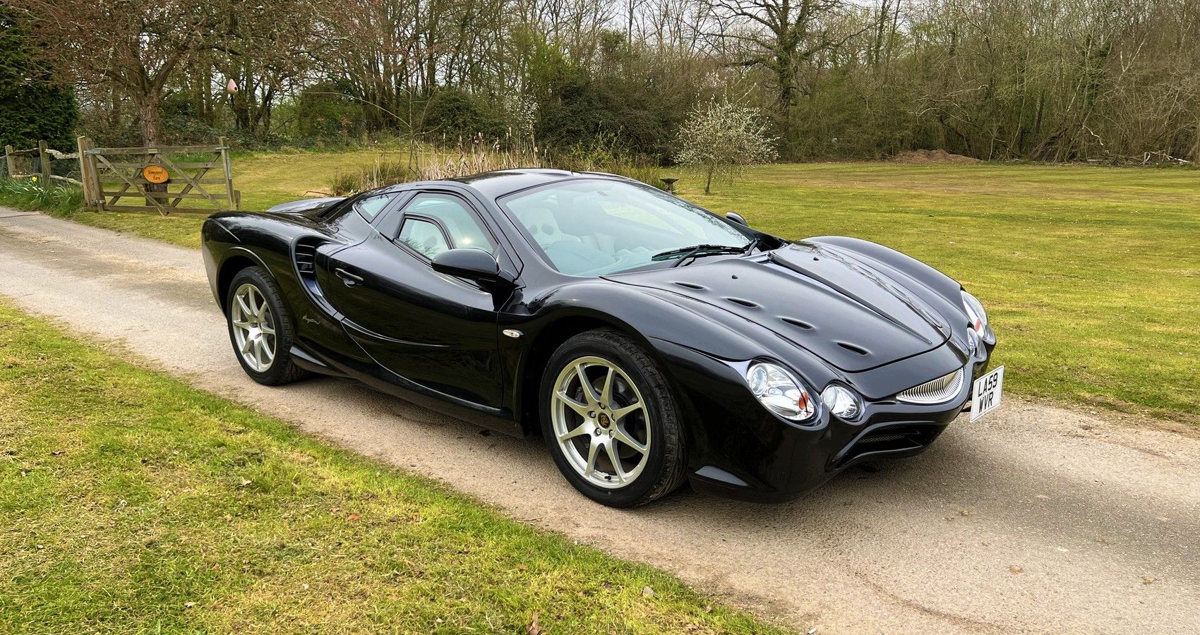 Mitsuoka Orochi - Front