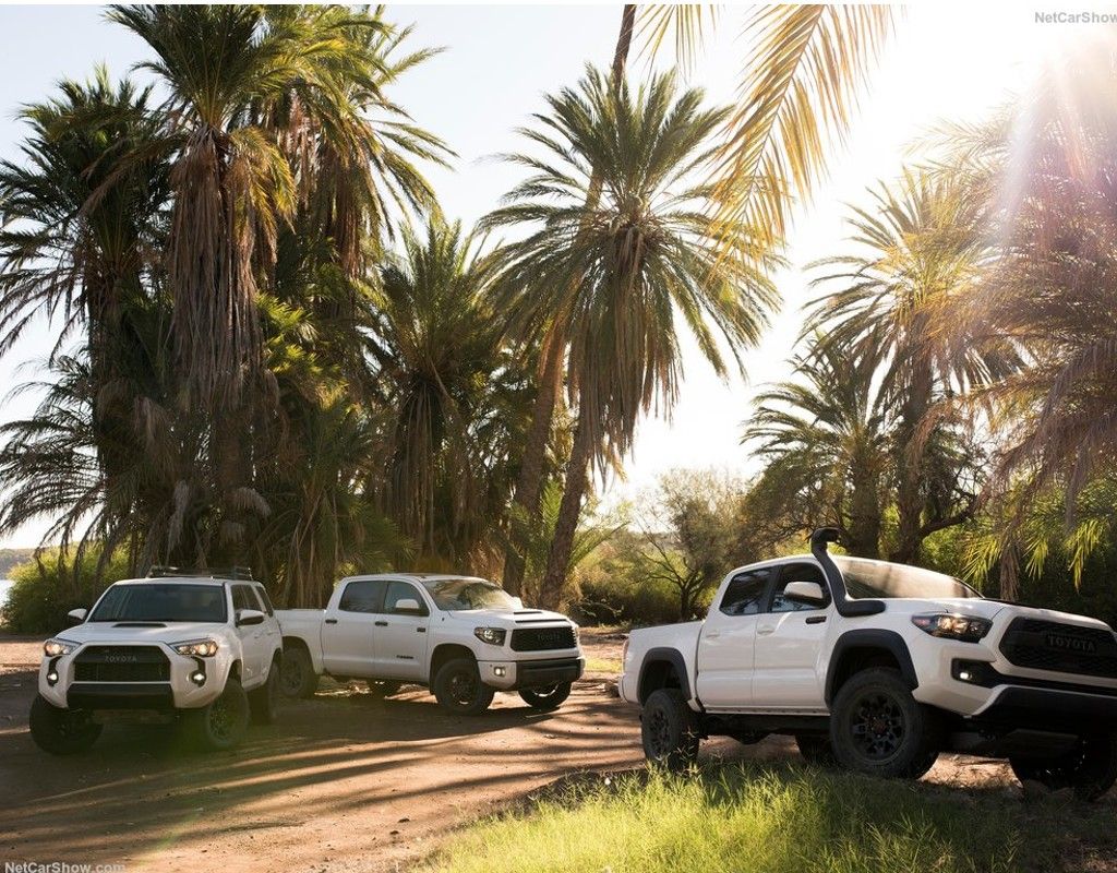 A white Toyota Tacoma, Forerunner, and Tundra parked