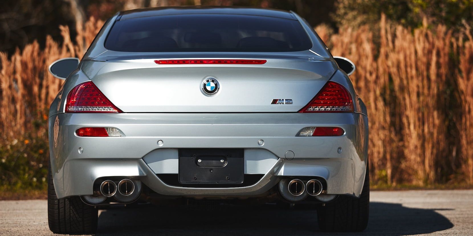 2010 BMW M6 E63 2 cropped