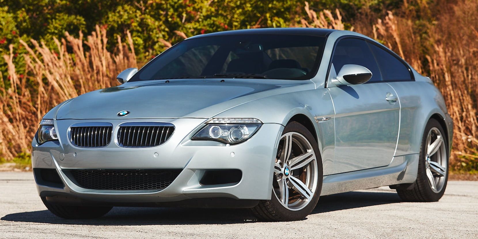 2010 BMW M6 E63 cropped