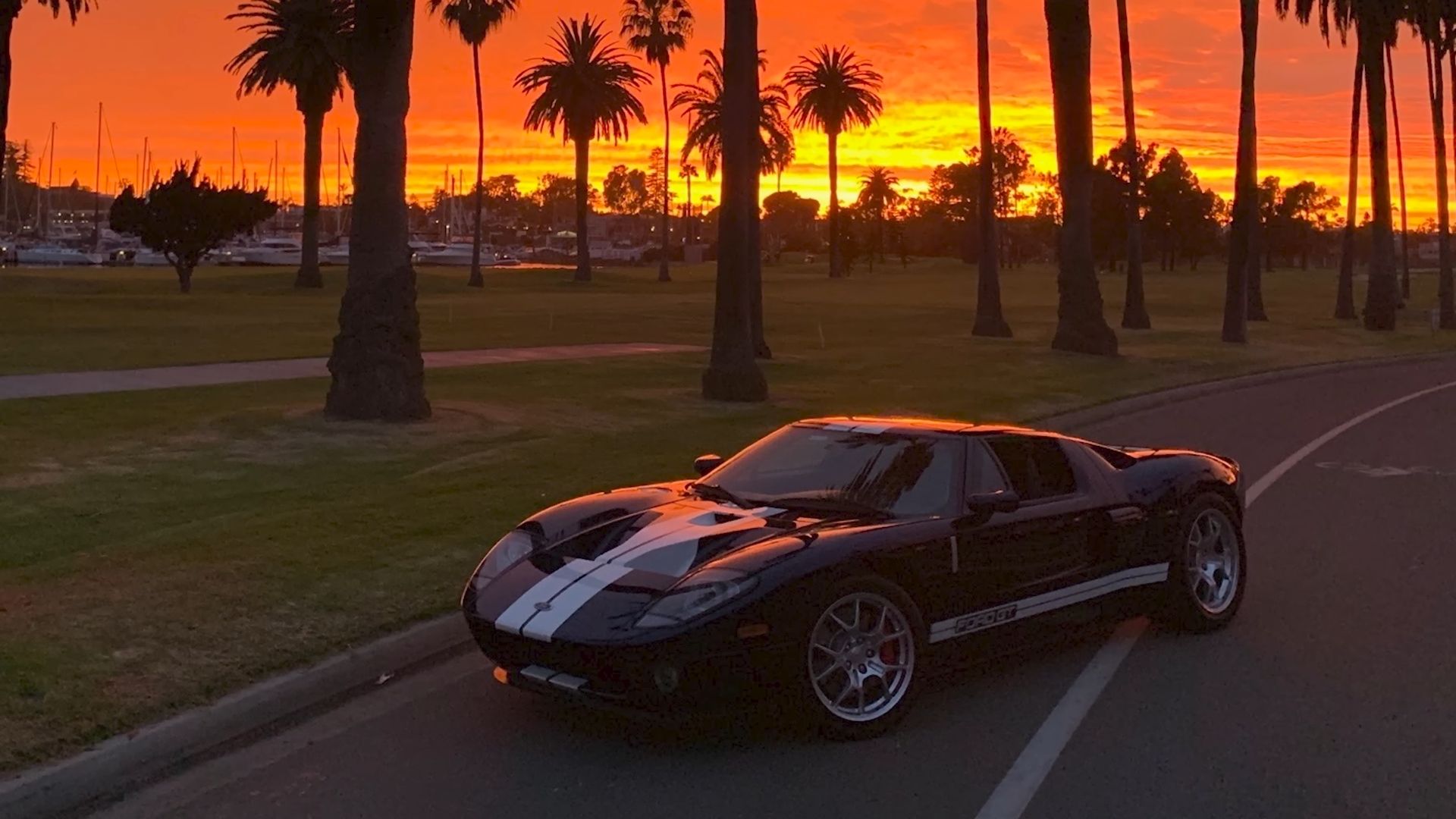 Doug DeMuro Ford GT Full Front View In Sunset
