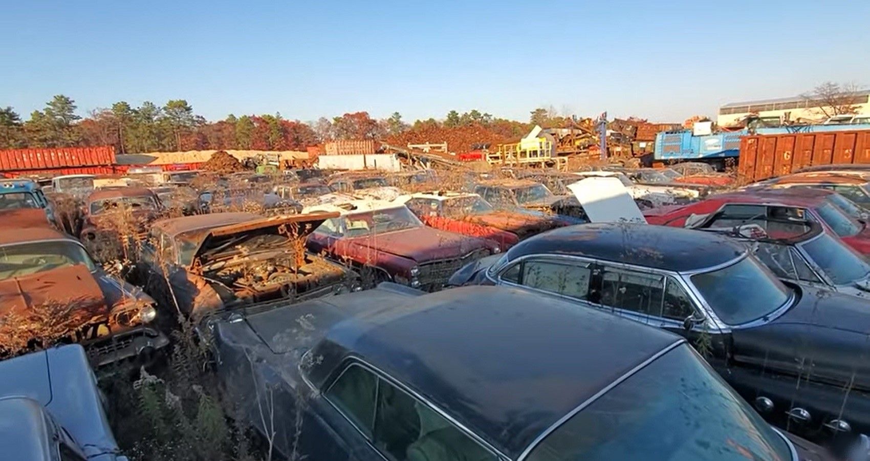 Hitting The Classic Car Jackpot At The Junkyard