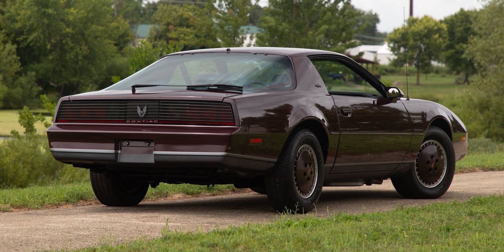 1982 Pontiac Firebird 2 Cropped