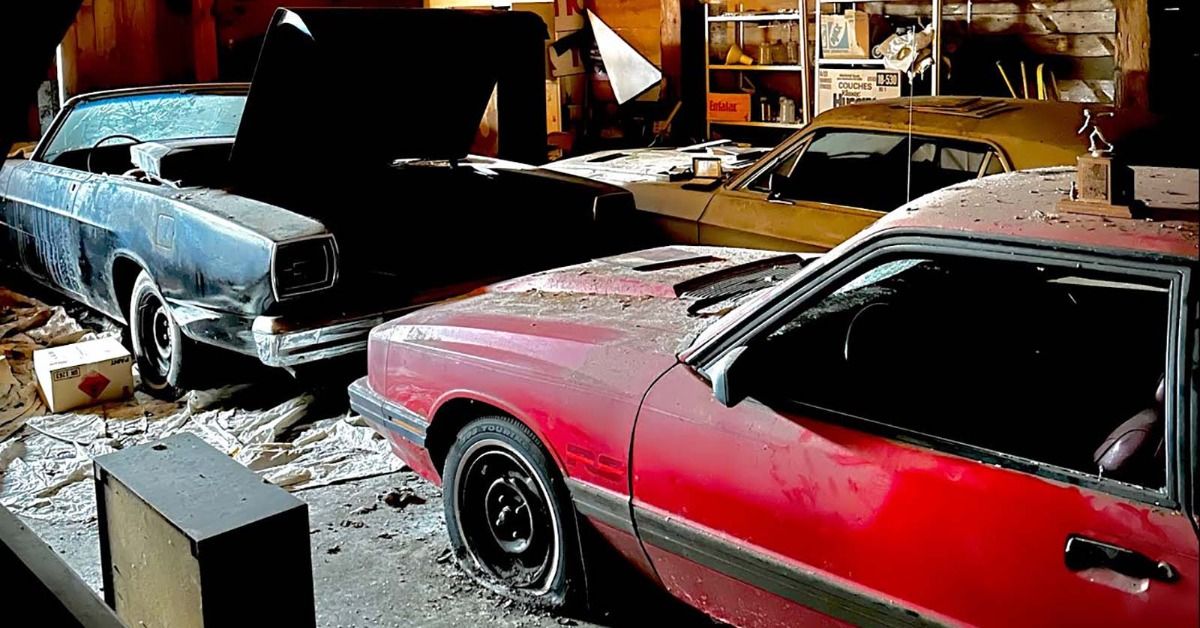Awesome Muscle Car Collection Abandoned By A Bankrupt 1980s Lottery Winner