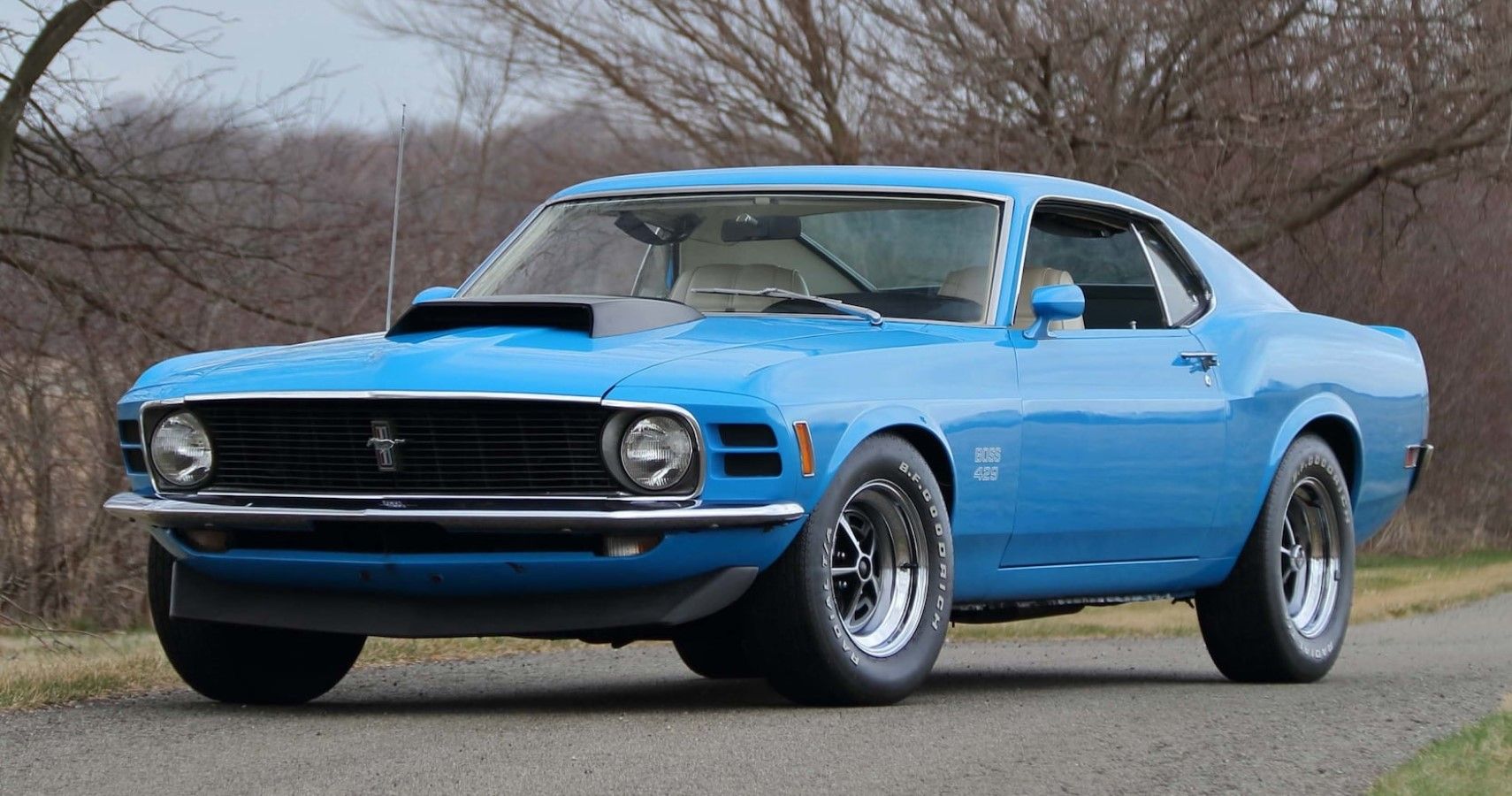 BLUE 1970 MUSTANG BOSS 429 FASTBACK parked