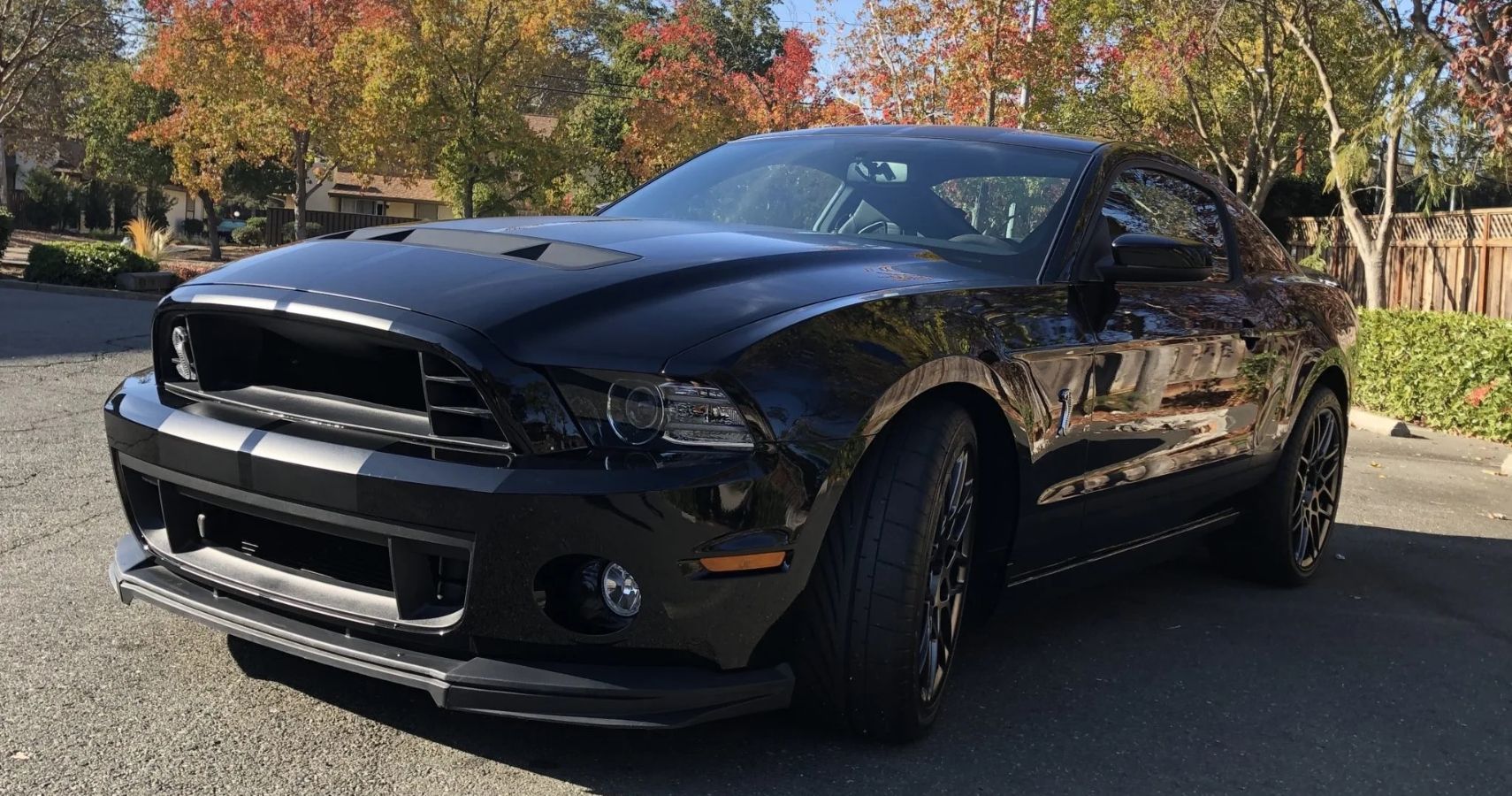 Black 2013-ford-mustang-shelby-gt500