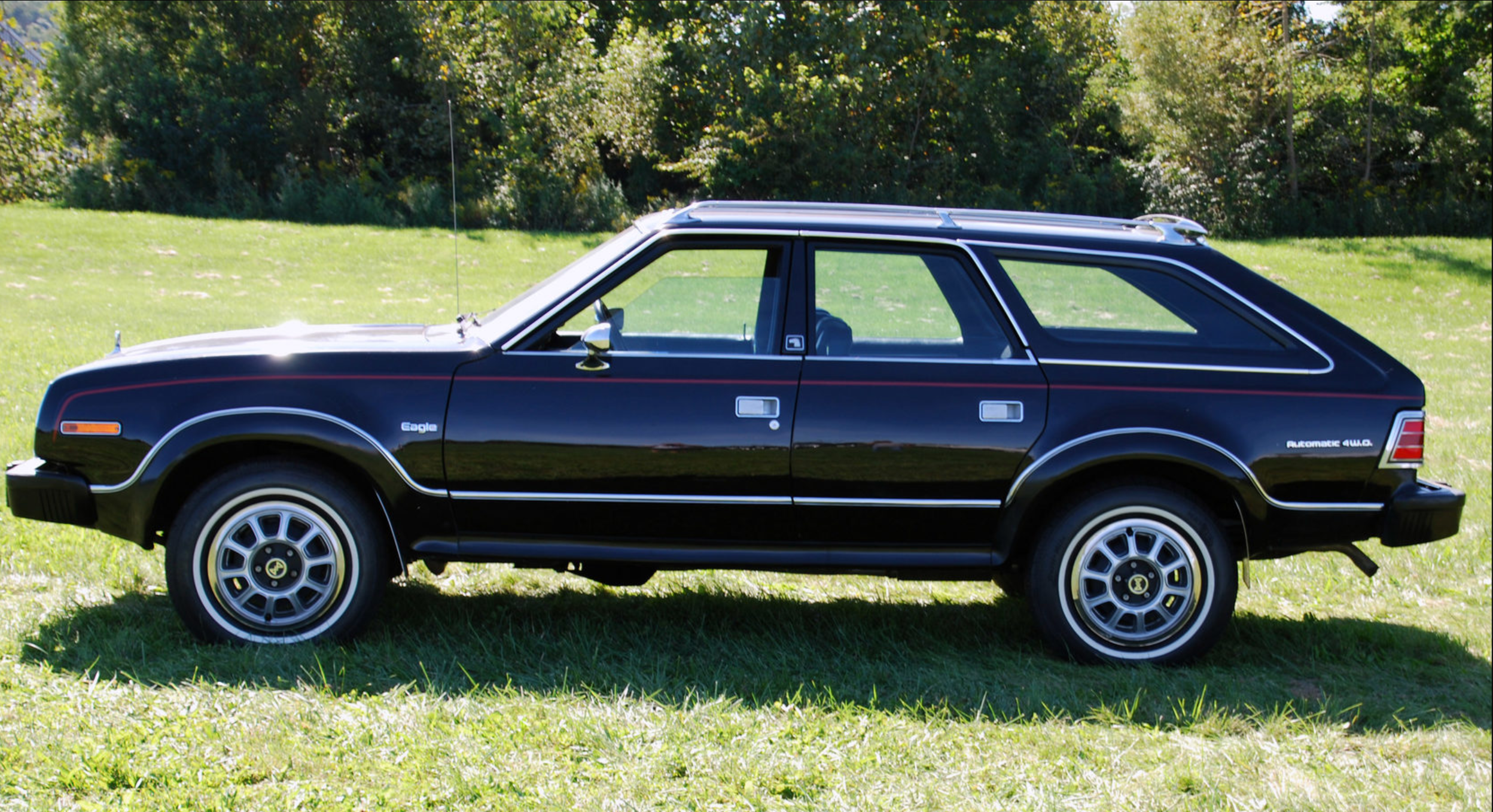 Black 1980 AMC Eagle