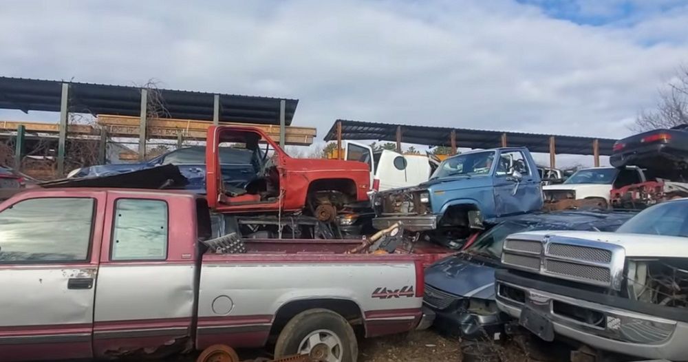 Discovering A Classic Truck Jackpot At The Junkyard