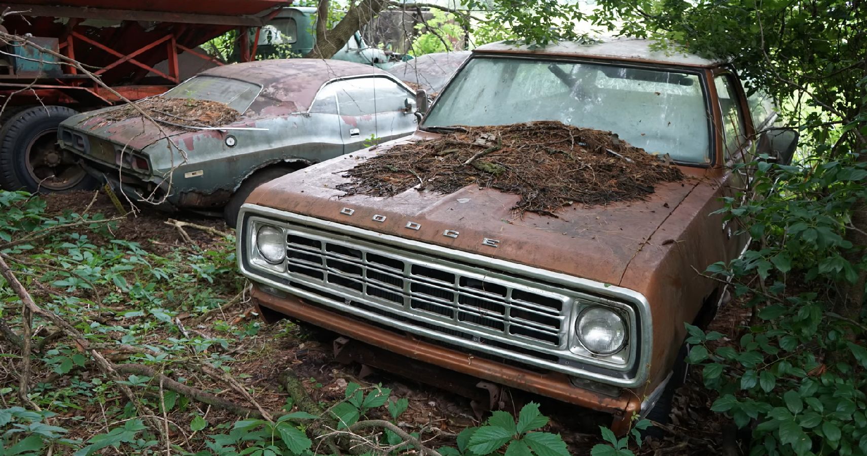  Muscle Car Barn Finds: Rusty Road Runners, Abandoned AMXs,  Crusty Camaros and More! eBook : Brutt, Ryan: Books