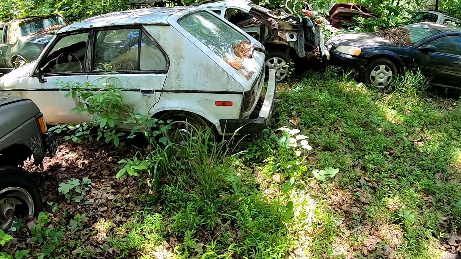 This Tennessee Yard Littered With Abandoned Classic Cars Is Insane