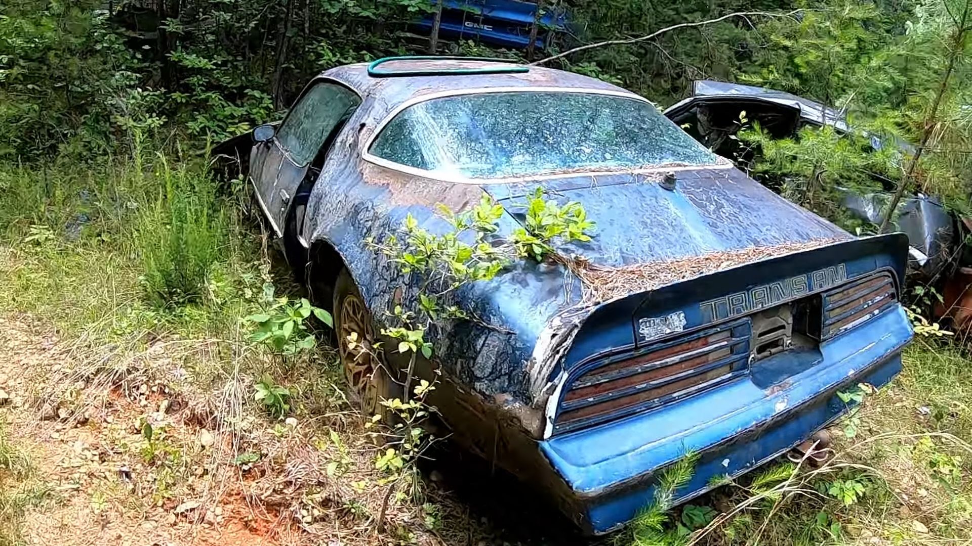 This Tennessee Yard Littered With Abandoned Classic Cars Is Insane