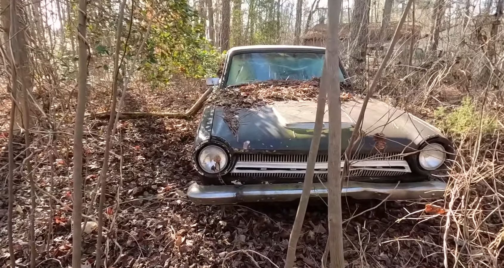 These Rare Muscle Cars Rescued From An Overgrown Yard Have A Bittersweet Story