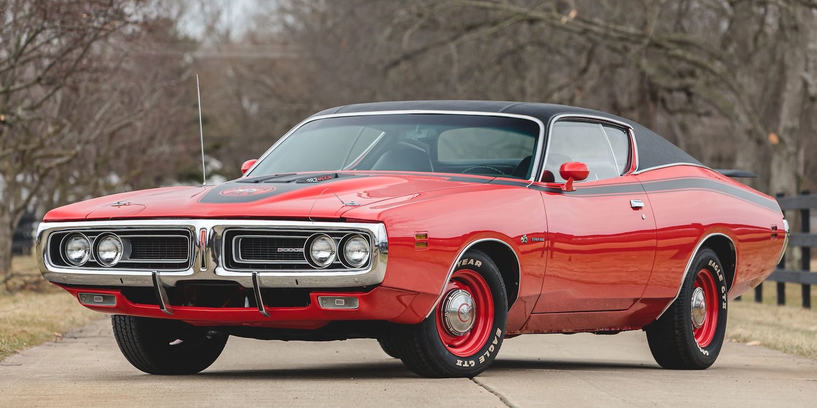 1971 Dodge Charger Super Bee Cropped