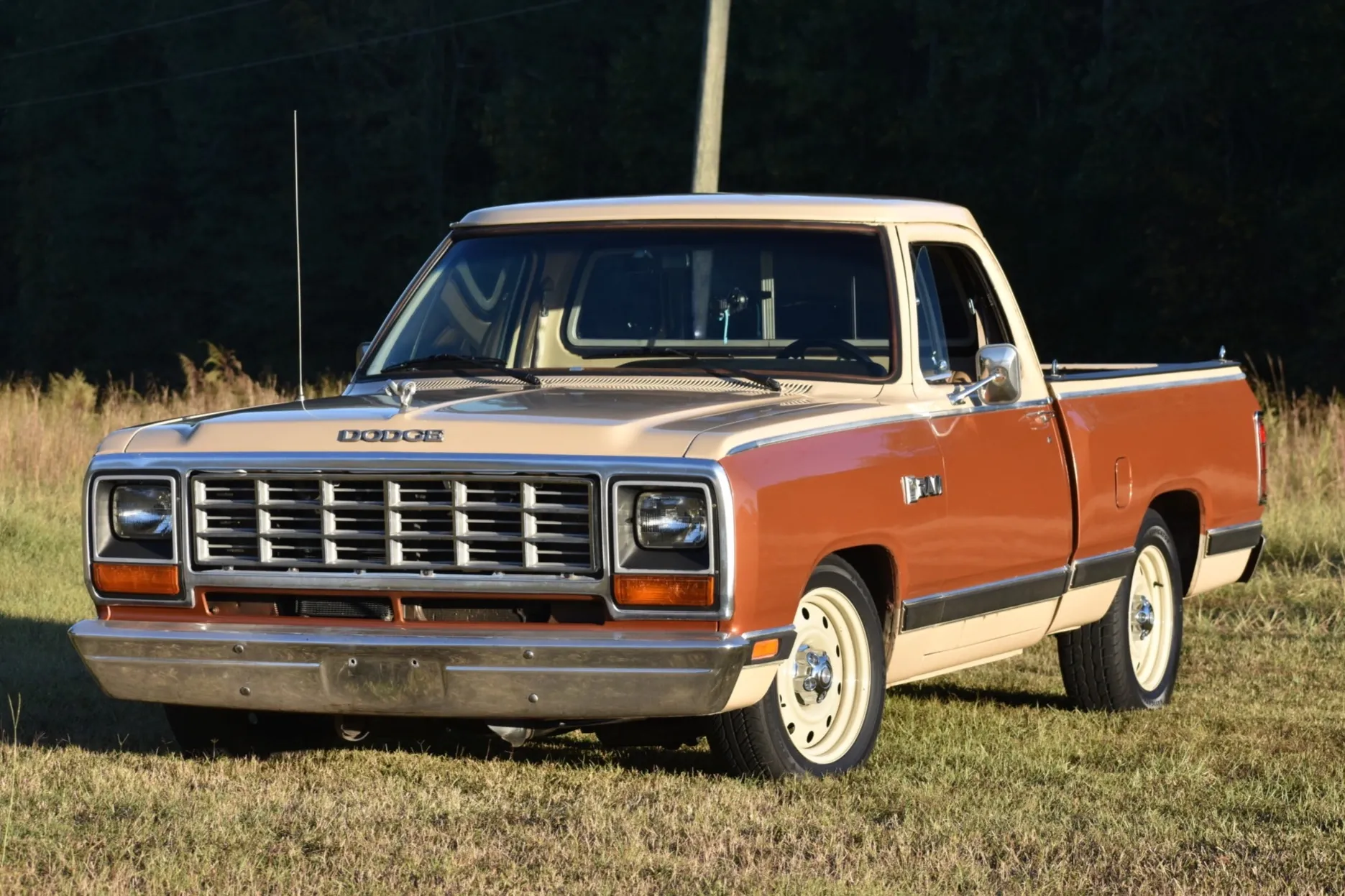 Brown Dodge Ram D150 Pickup