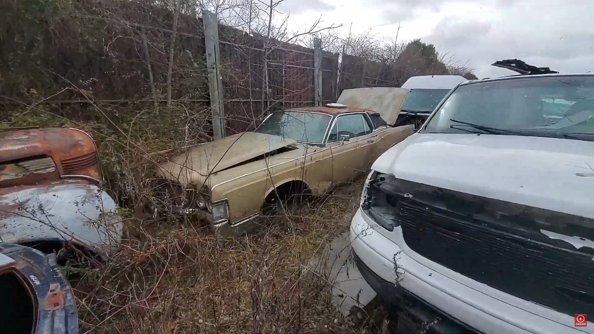 Classic American Muslce car in Long Island Junk Yard sitting in gold with trucks and plants