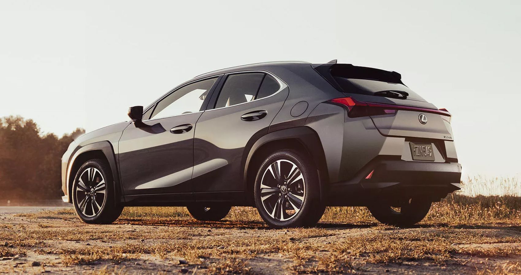 The 2024 Lexus UX 250h Is The Luxurious Cousin Of The Toyota Rav4 Hybrid