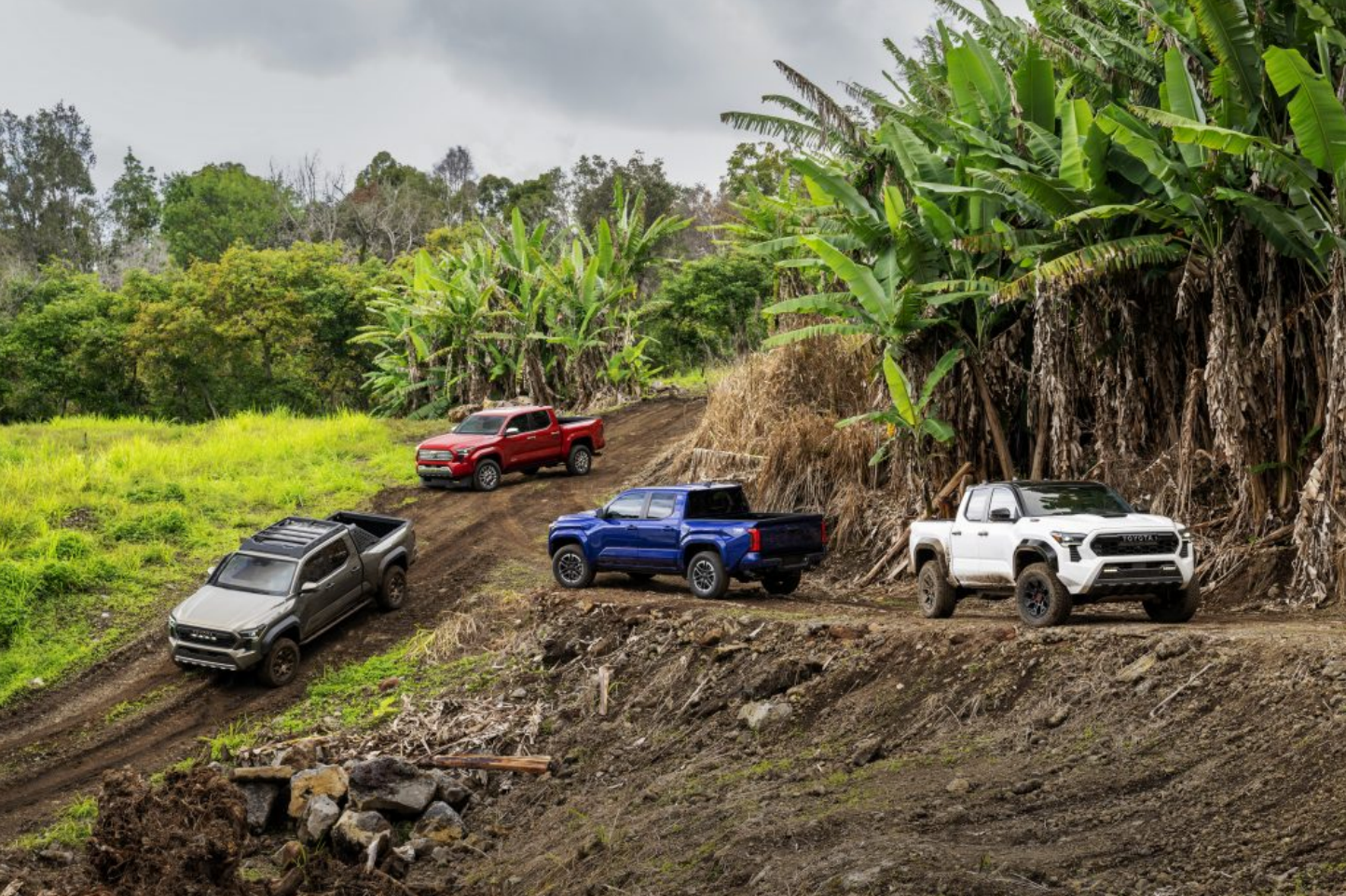 2024 Toyota Tacoma (1)