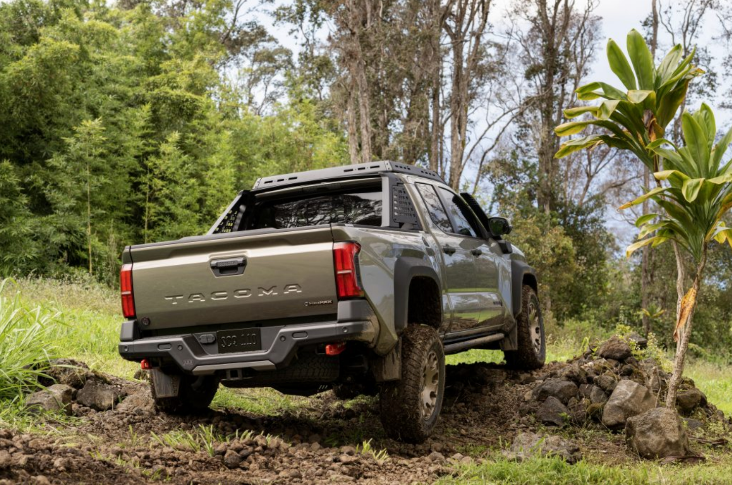 2024 Toyota Tacoma (3)