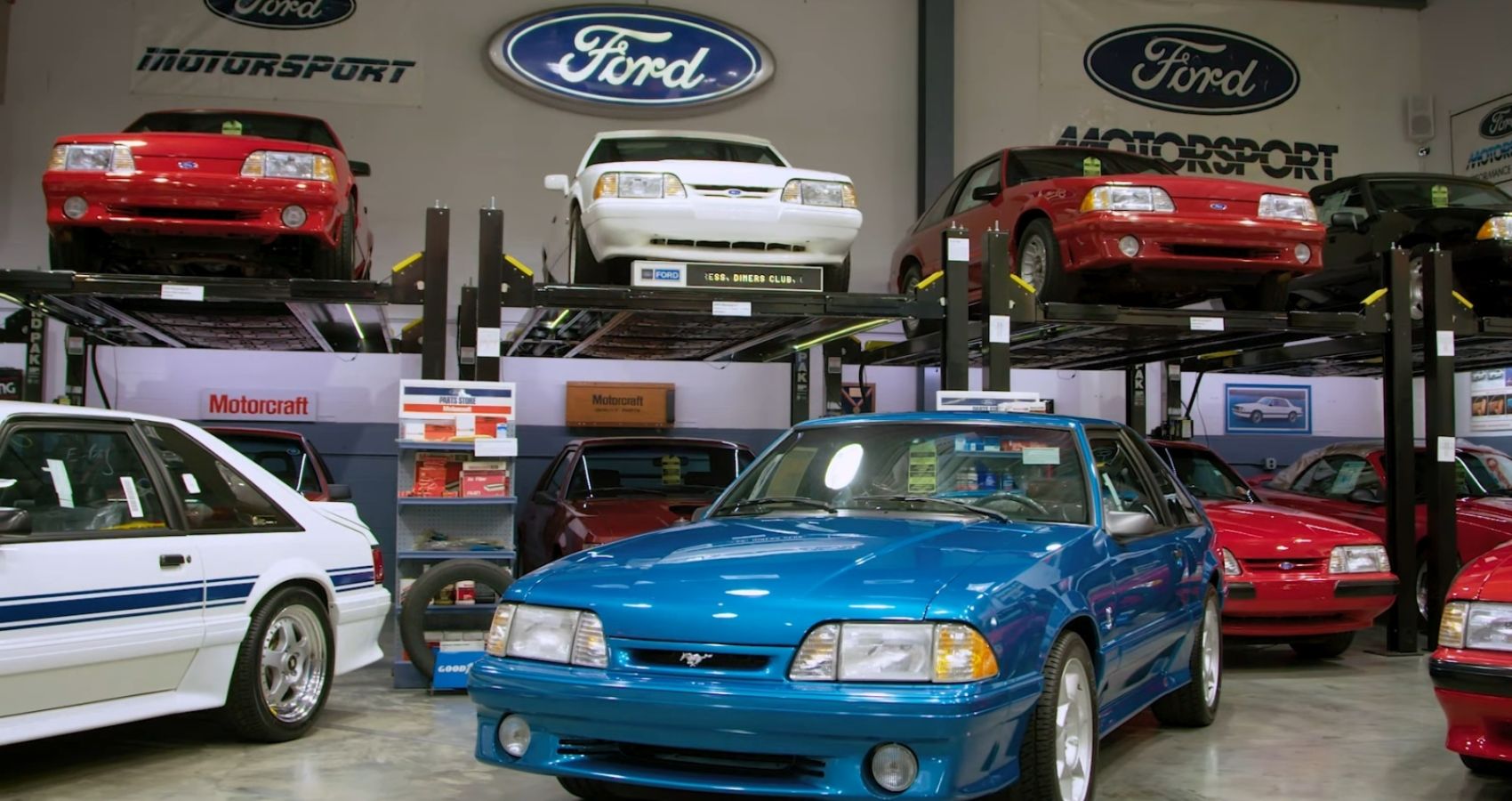 Meticulous Ford Mustang Collection Full View