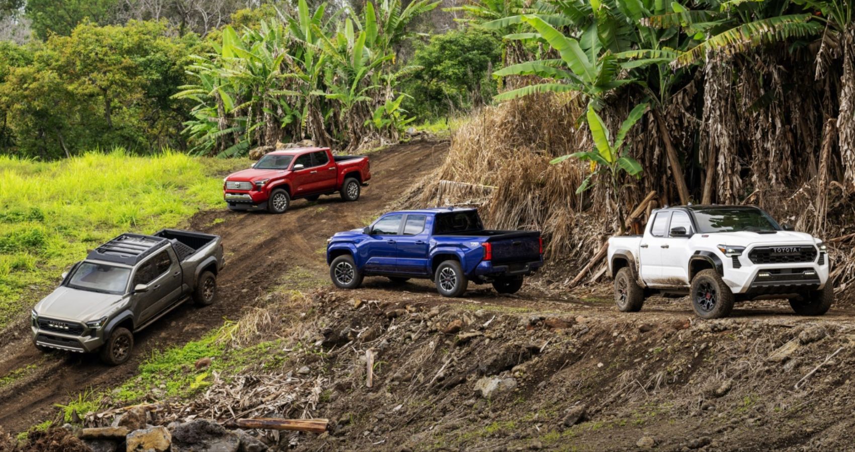 Linha completa da linha Toyota Tacoma 2024