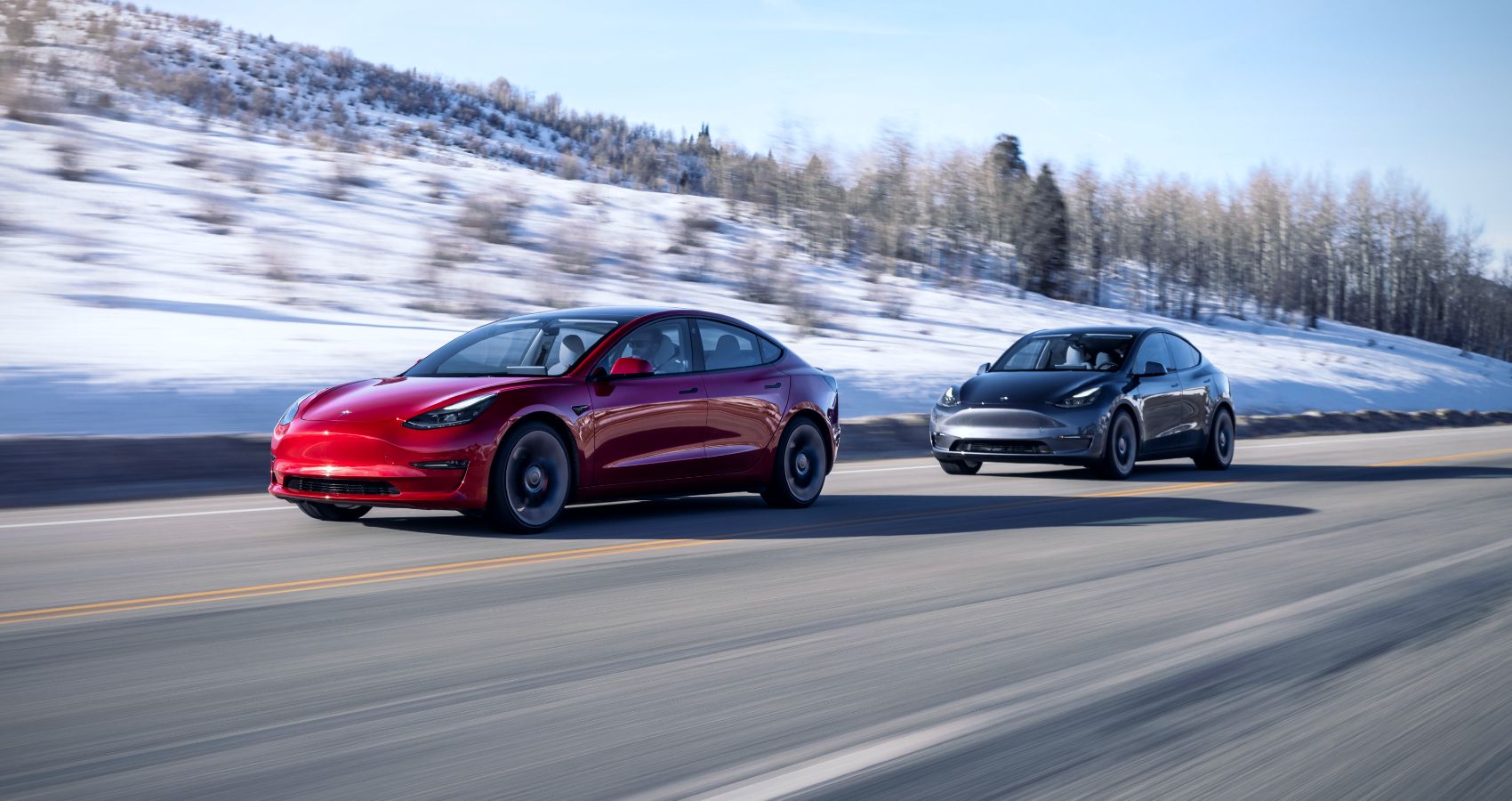Tesla Model 3 Vs Model Y The Real Difference Explained