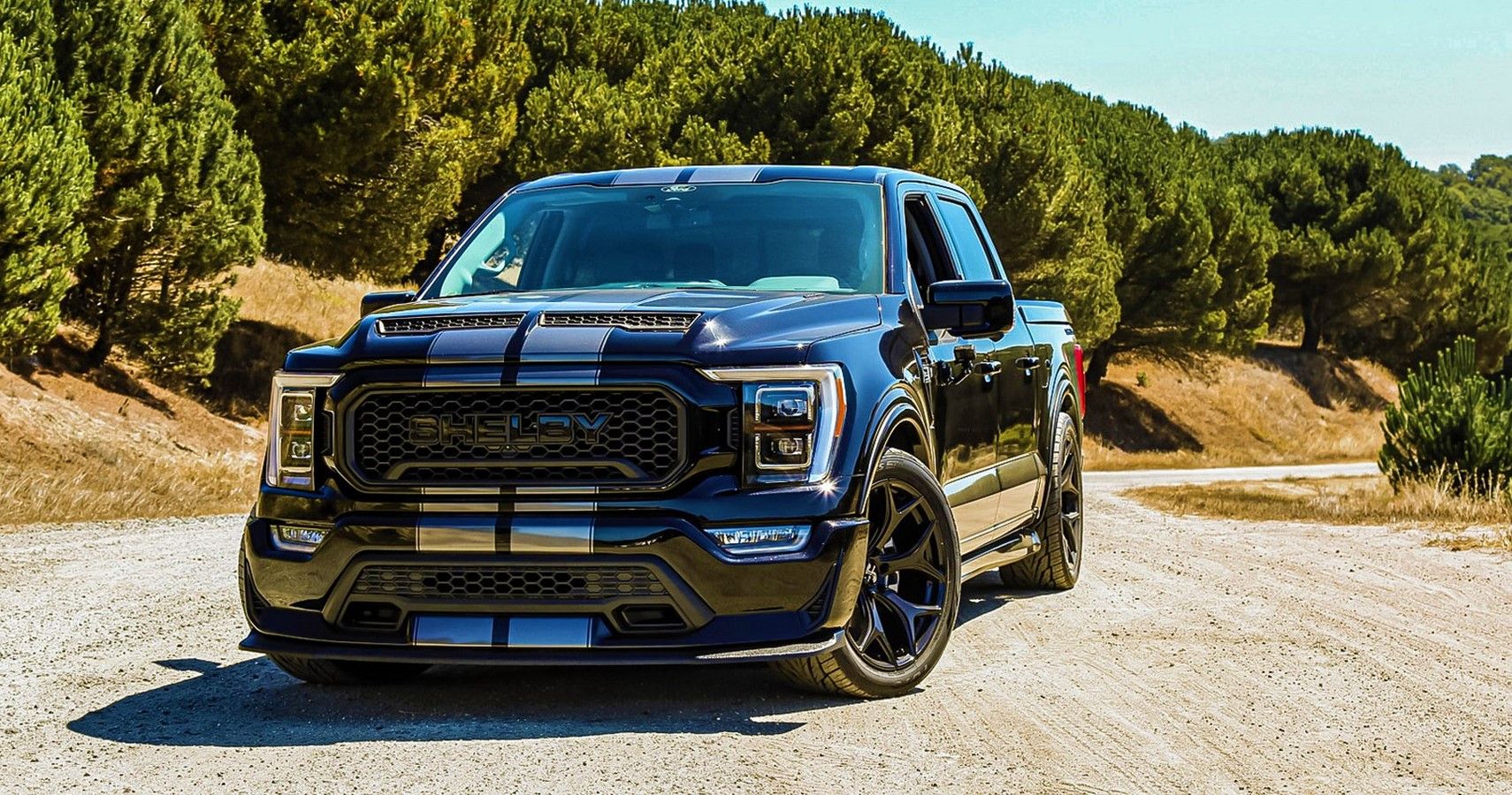 Shelby F-150 Ular Super