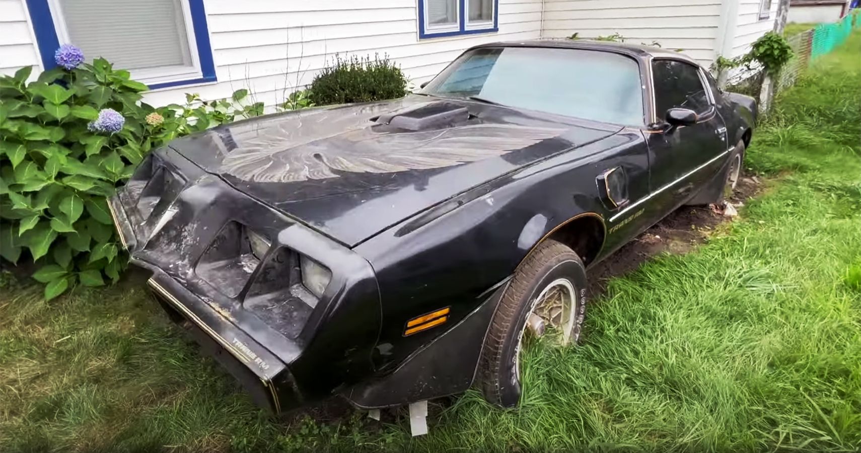 Barn Find Hunter Rescues 1979 Pontiac Trans Am After More Than 20 Years ...
