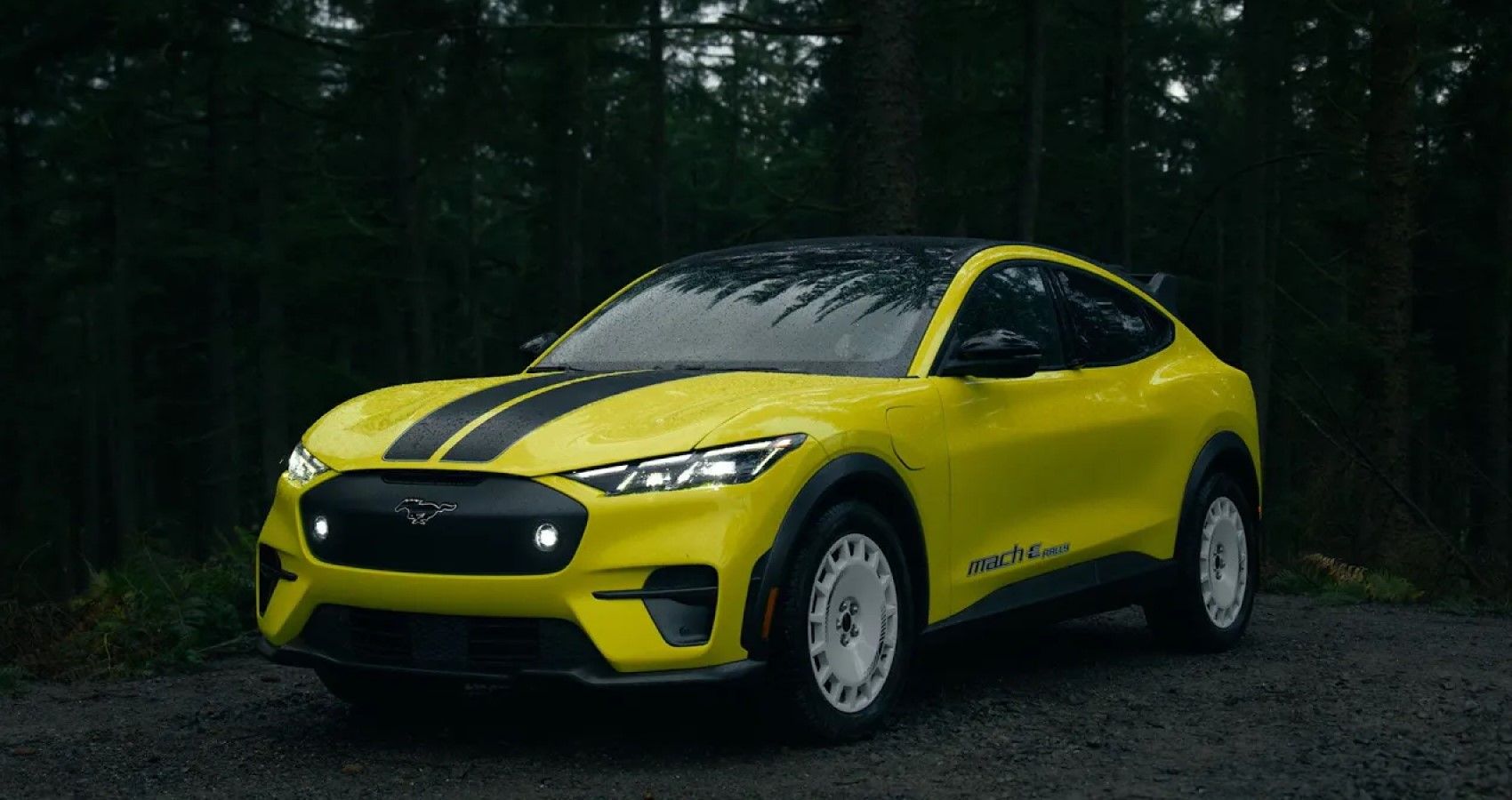 See How The New Ford Mustang Mach-E Rally Will Feature Some Real Off ...